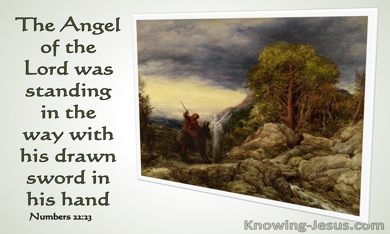 Numbers 22:23 The Donkey Saw The Angel Of The Lord (sage)